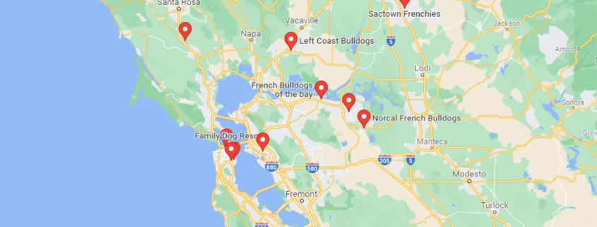 Screenshot of a map in GoogLe Maps of french bulldog rescue centers and breeders in San Francisco, United States
