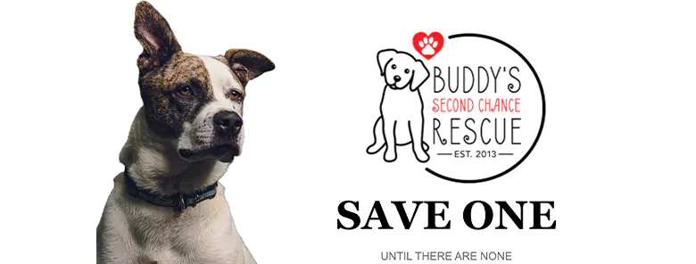 Buddys Second Chance Rescue