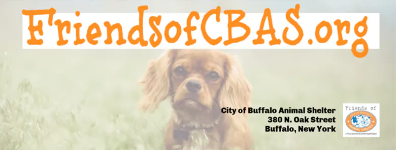 Friends of the City of Buffalo Animal Shelter