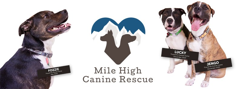 Mile High Canine Rescue