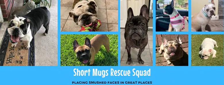 Short Mugs Rescue Squad