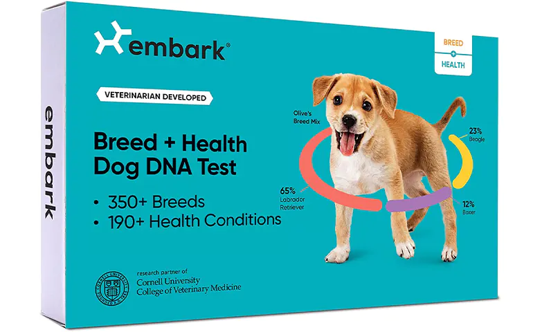 embark