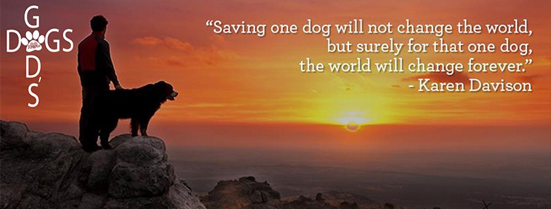 God’s Dogs Rescue