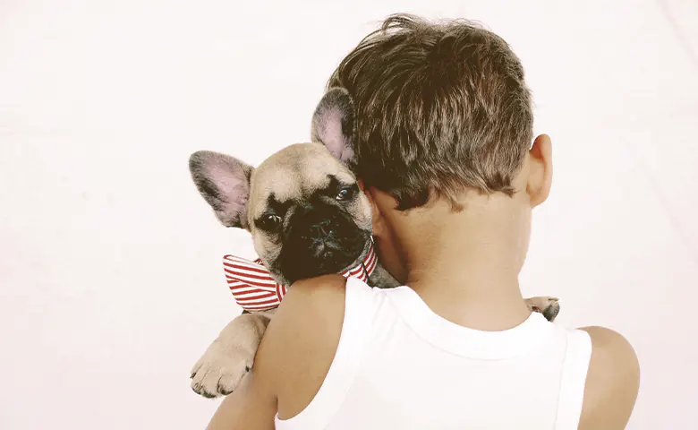 kid holdinga french bulldog puppy