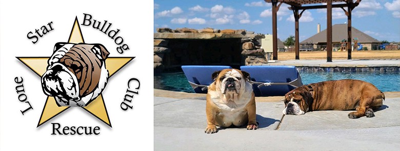 Lone Star Bulldog Club Rescue