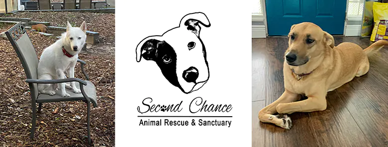 Second Chance Animal Rescue and Sanctuary