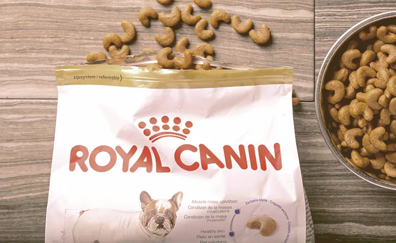 Why Is Royal Canin Good for French Bulldogs Dog trying to reach kitchen counter