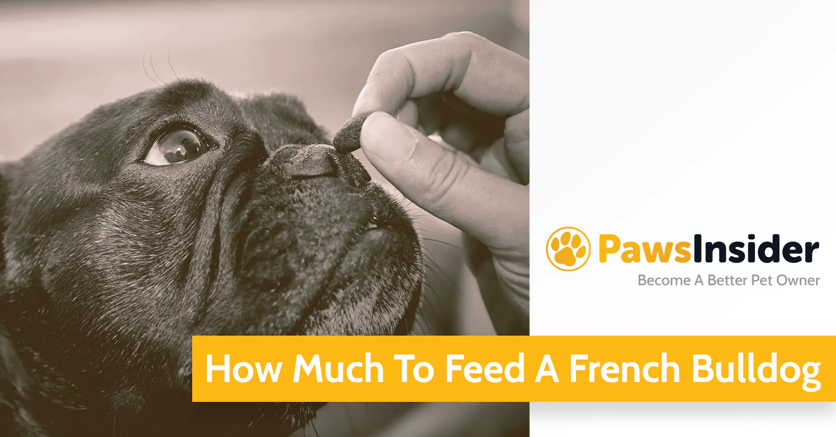 How Much To Feed A French Bulldog - Paws Insider