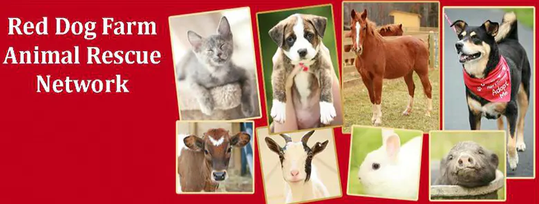 Red Dog Farm Animal Rescue Network
