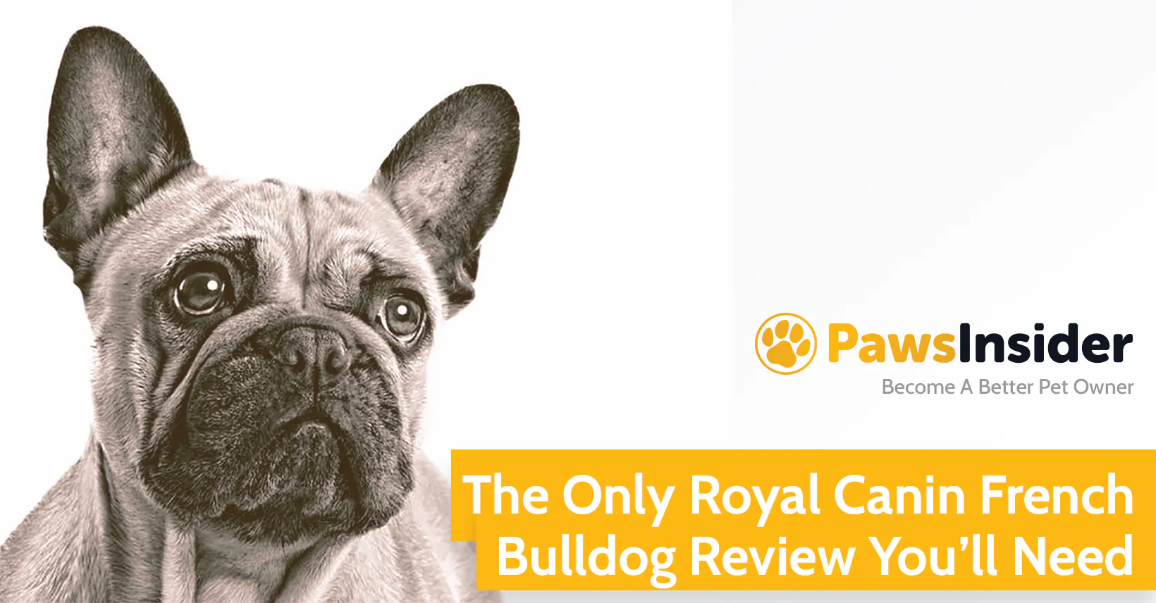 The Only Royal Canin French Bulldog Review You’ll Need // Paws Insider