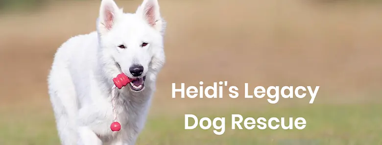 Heidi’s Legacy Dog Rescue