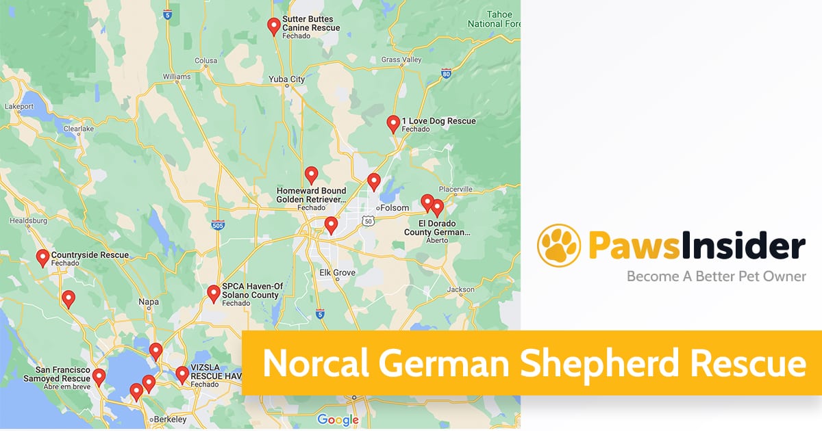 Norcal German Shepherd Rescue