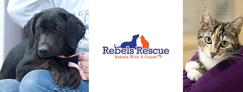 Rebels Rescue