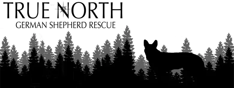 True North GSD Rescue