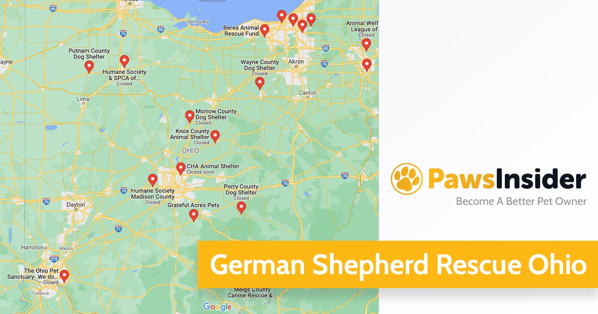 German Shepherd Rescue Ohio