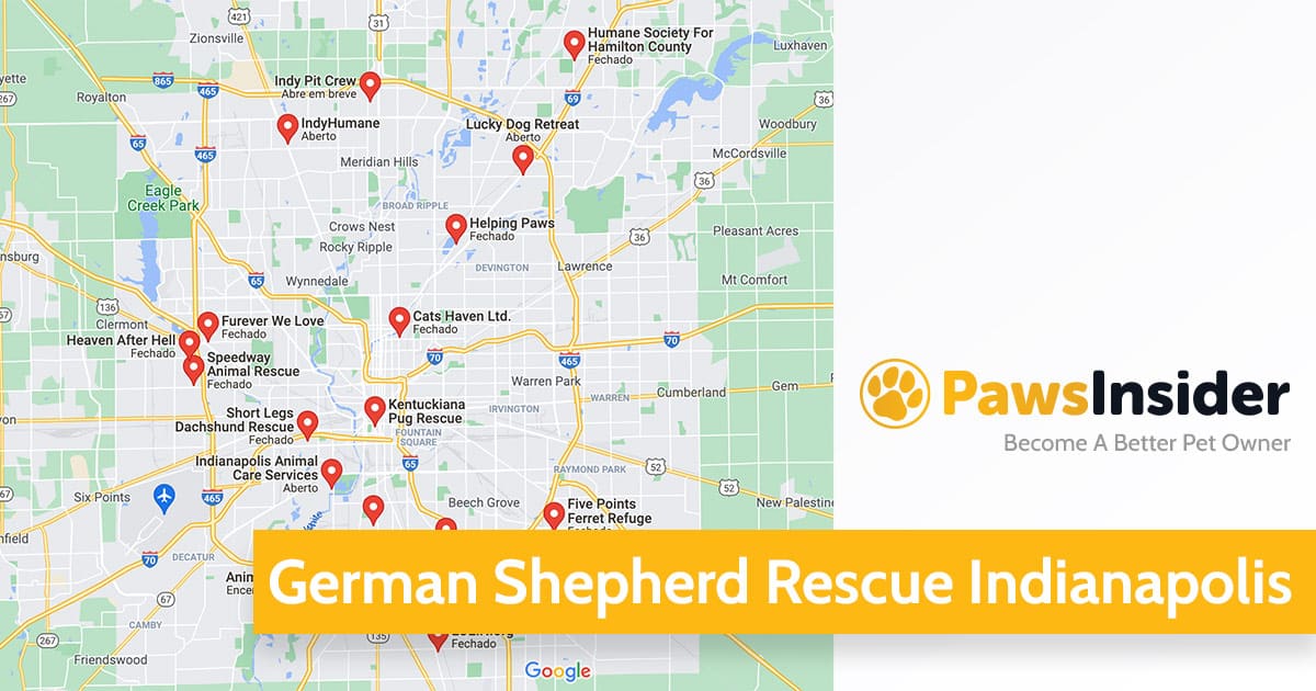 German Shepherd Rescue Indianapolis featured image