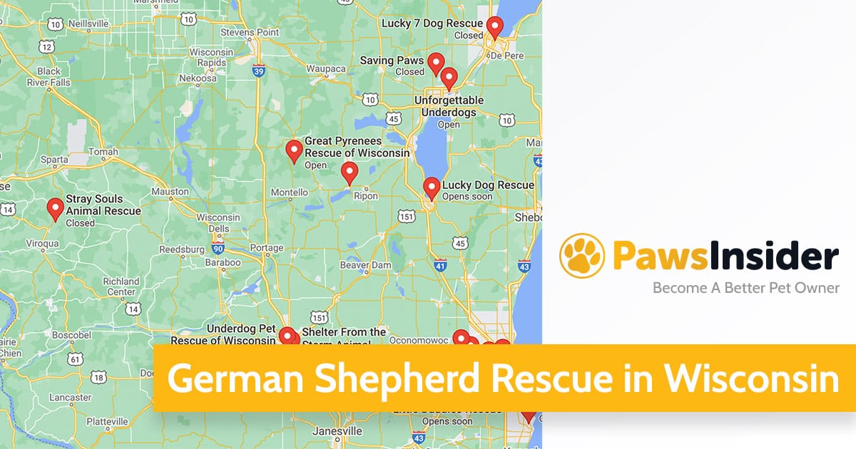 German Shepherd Rescue in Wisconsin