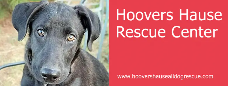 Hoovers Hause Rescue Center