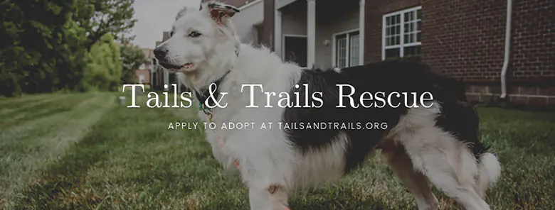 Tails and Trails Rescue
