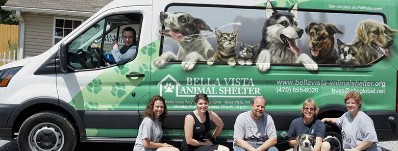 Bella Vista Animal Shelter