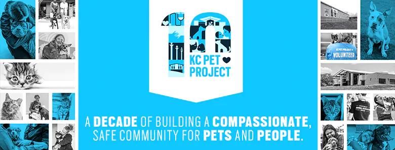 KC Pet Project at KCCAC