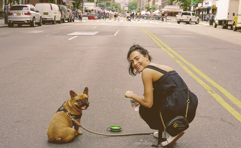 French bulldog and owner on the middle of the street looking back