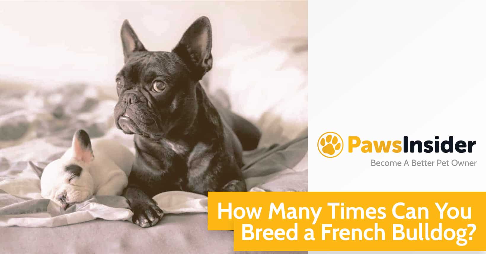 How Many Times Can U Breed A Dog