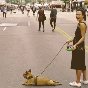 French bulldog laying on the middle of the street with owner laughing