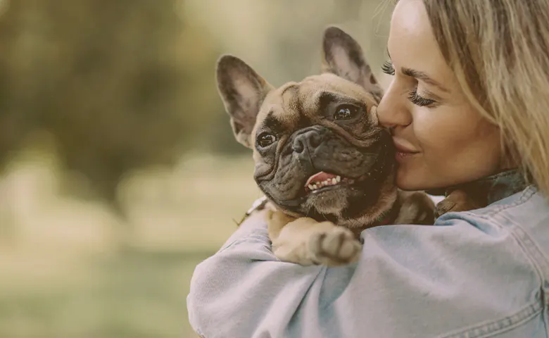 French bulldog being hugged and kissed by owner