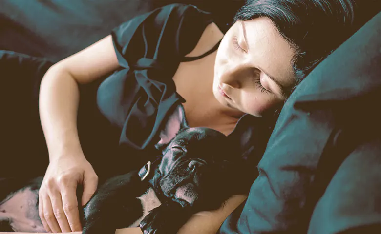French bulldog sleeping with a girl