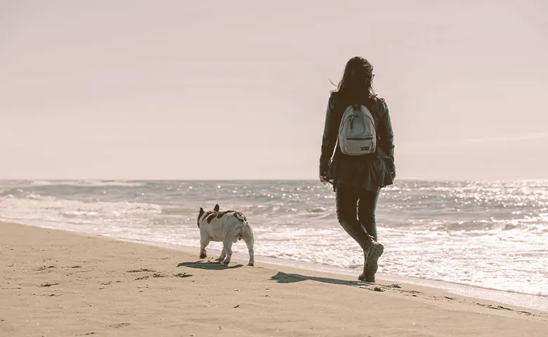 owner and French bulldog walking on the beach