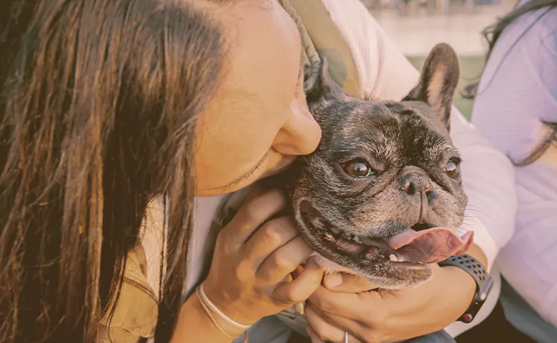 owner petting her French bulldog