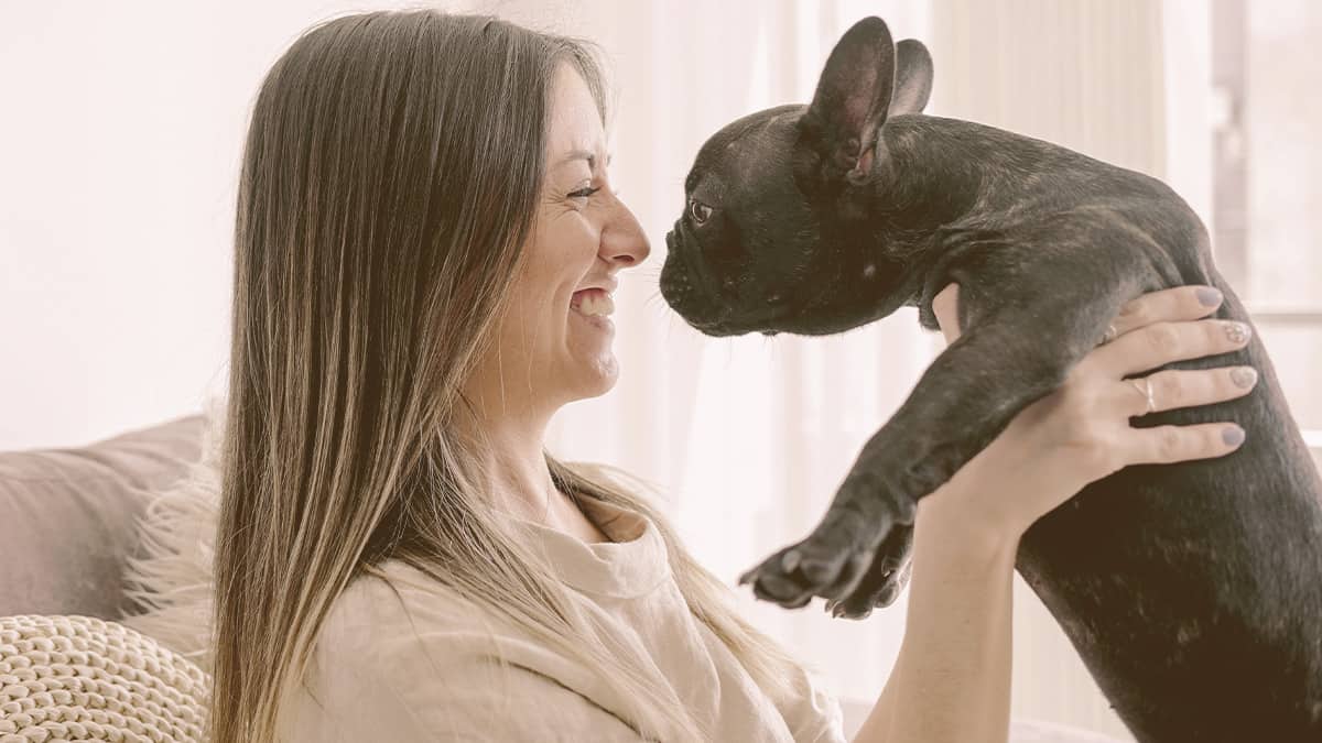 woman smiling holding a French bulldog
