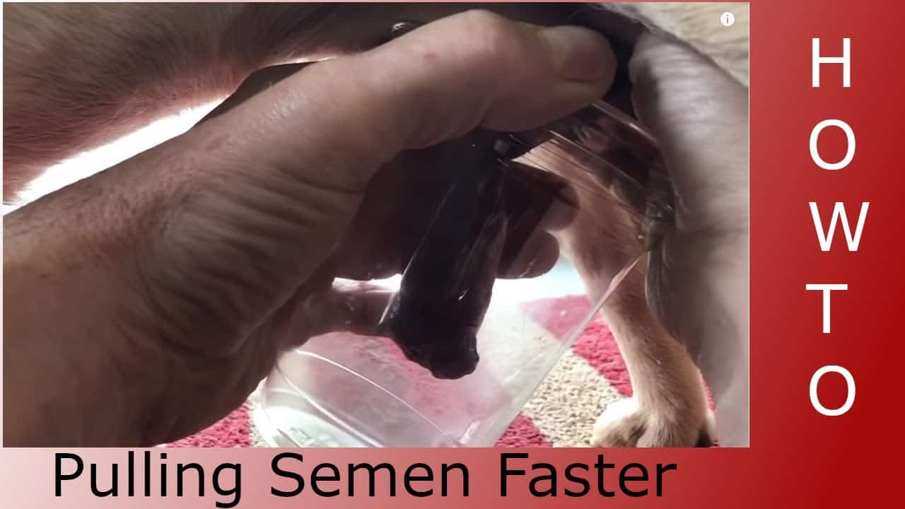 How to Pulling Semen Faster