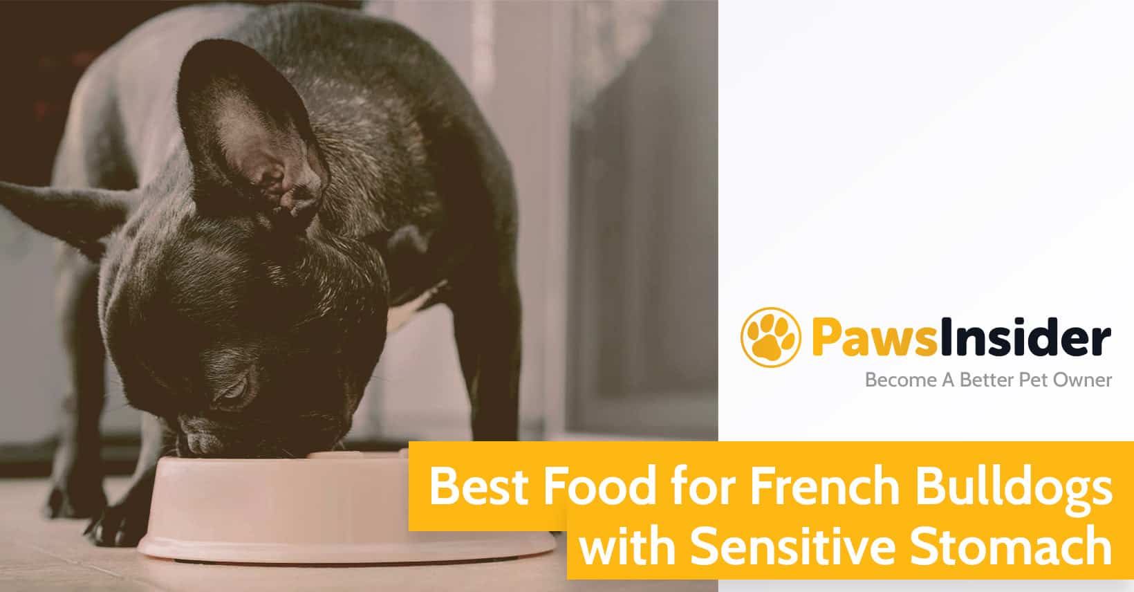 Best Food For French Bulldogs With Sensitive Stomach In 2026