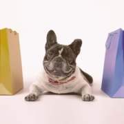 French bulldog laying on the floor next to shopping bags