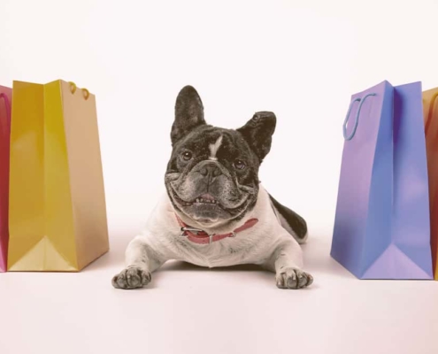French bulldog laying on the floor next to shopping bags