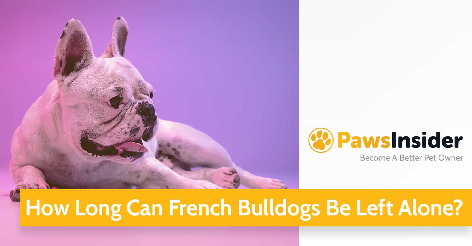 can french bulldog be left alone for 8 hours