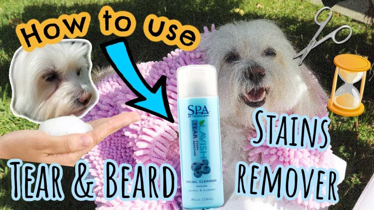 SPA Tropiclean HOW TO USE the Eye & Beard Stains Remover
