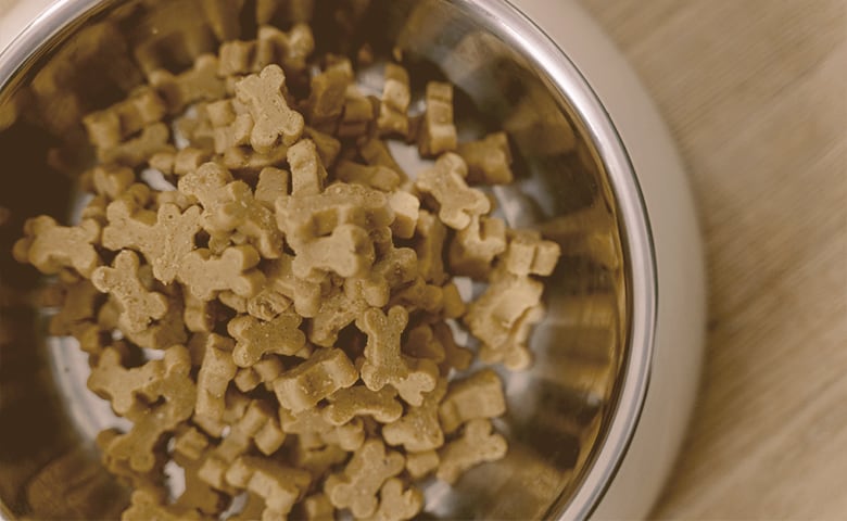 bowl of dog food bowl of dog food