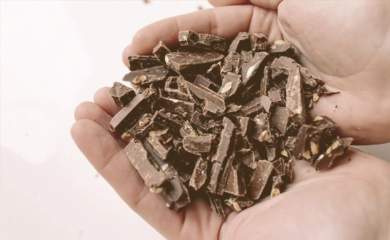 hand full of small pieces of chocolate hand full of small pieces of chocolate