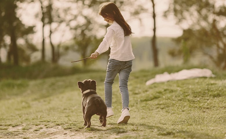 little girl playing with her French Bulldog