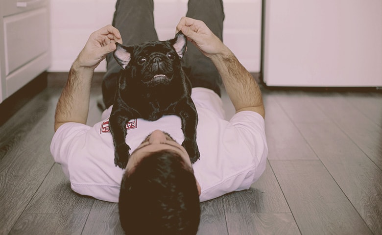 man playing Frenchie Pug ears man playing Frenchie Pug ears