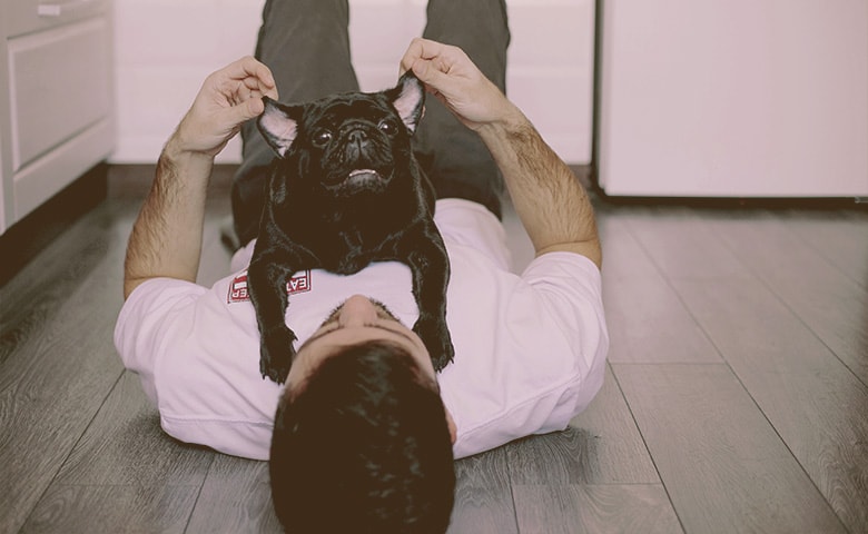 man playing Frenchie Pug ears