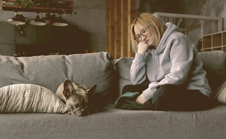 woman sitting on a sofa looking at her French bulldog