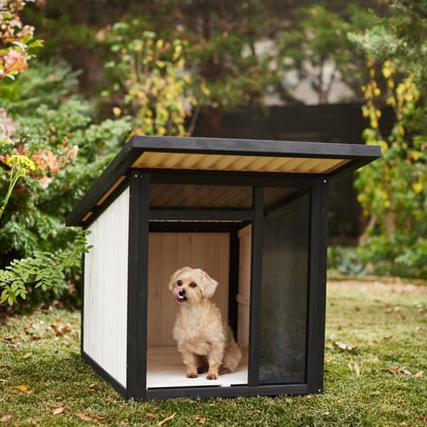 Frisco Modern Wooden Outdoor Dog House