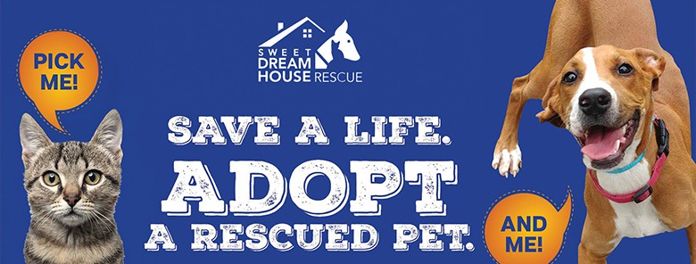Sweet Dream House Rescue