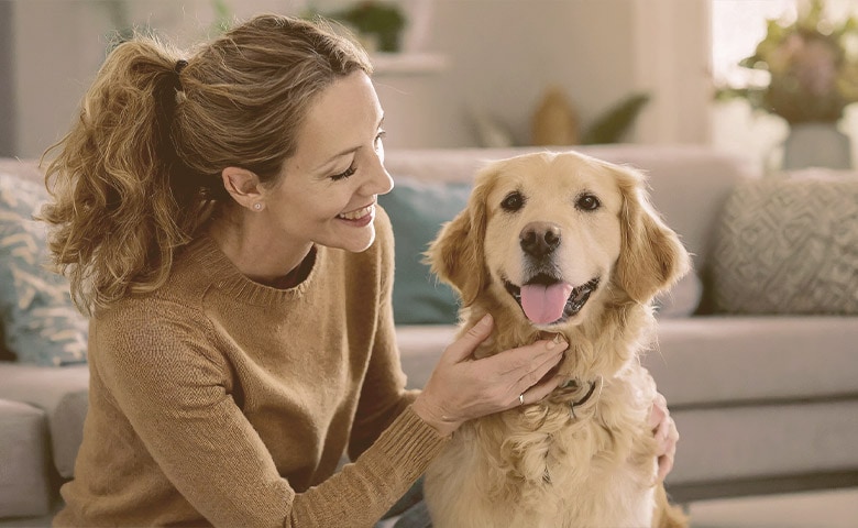 dog being petted by owner