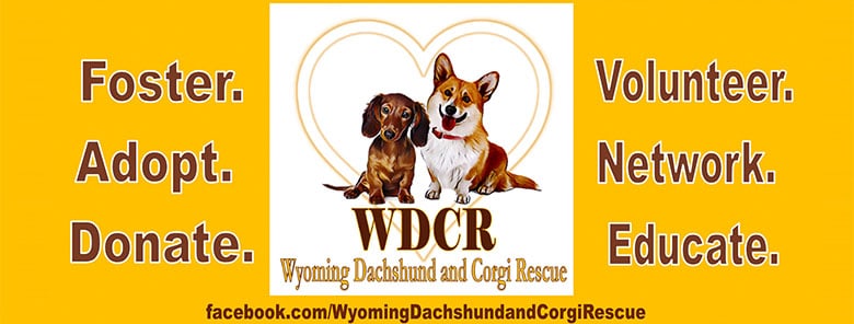 Wyoming Dachshund and Corgi Rescue