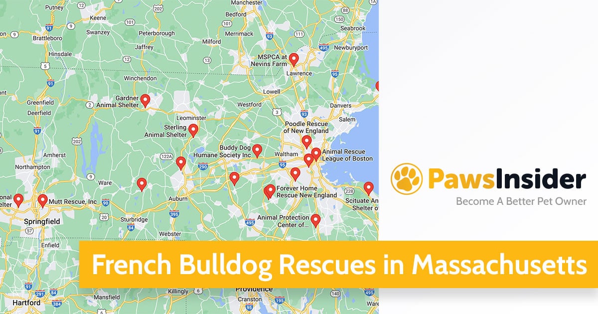 Screenshot of a map in Google Maps